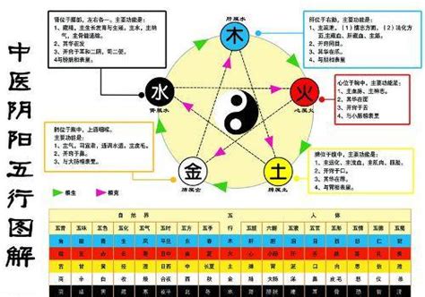 木生火 火生土 土生金 金生水|金生水（五行对应关系）